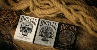 Apocalypse Bicycle