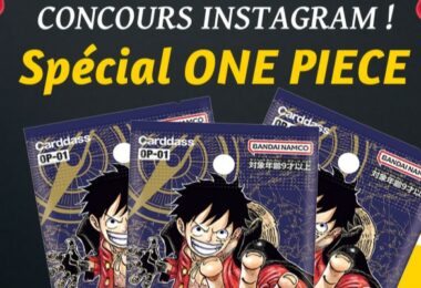 Concours Display One Piece Romance Dawn