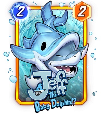 carte Jeff le bébé dauphin
